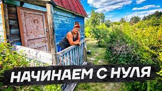 Купили новый участок, осваиваем заросшие земли