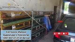 Келеткахои будана фуруши