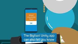 Bigfoot Unity with captions