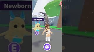 POV: You get scammed in Adopt Me! #roblox #funny #adoptme #scammed #scammer