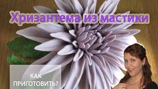 Как сделать ХРИЗАНТЕМУ ИЗ САХАРНОЙ МАСТИКИ