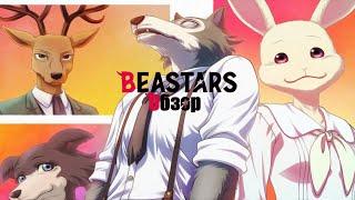 ЗВЕРОПОЛИС ДЛЯ ВЗРОСЛЫХ l BEASTARS l МУЛЬТОБЗОР