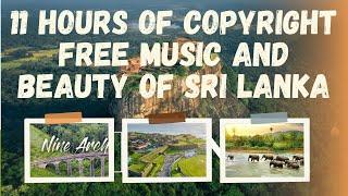 Breathtaking Views of Sri Lanka's Nine Arch Bridge Train Journey and 11 Hours copyright Free Music