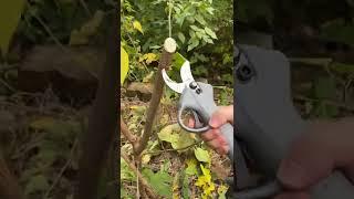 Backupy Battery Branch Pruning Shears CNSHEN ElectricTree Pruner with LED Display and Handguard