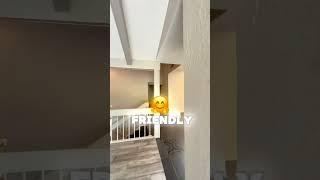 UNIQUE HOME IN ELPASO #elpaso #realestate #movingtoelpaso #elpasorealestate #elpasotx #elpasorealtor