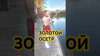 Митин - Купил Супер Удочку и Поймал ЗОЛОТОГО ОСЕТРА #нарезки #юмор #fishing