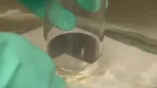Comparing the four halogens - Chemical elements: properties and reactions (2/8)