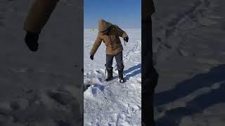 Омуль на Байкале, глубина 200м