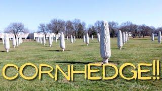 Field of Concrete Corn Dublin Ohio (Cornhedge)