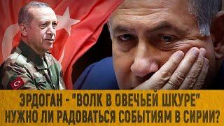 Эрдоган - "волк в овечьей шкуре"? / Нужно ли радоваться событиям в Сирии?