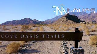 La Quinta "Cove Oasis Trails", Relaxing Aerial Drone Video