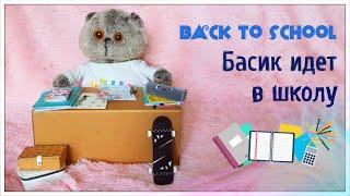 Back to school  Басик идет в школу / Basik TV