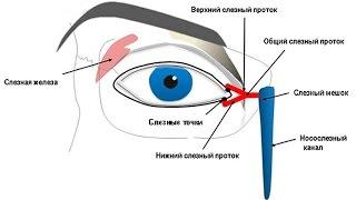 Массаж глаза при непроходимости слезного канала. У Взрослых!