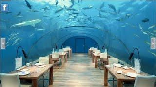 Underwater world lounge escape - soluce