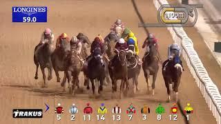 Скачки в Дубае Dubai World Cup 2017