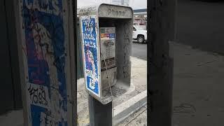 Day 44. Phone booth still alive?