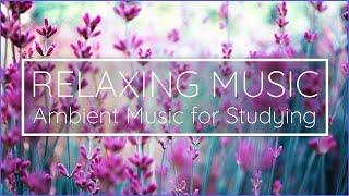 Relaxing Ambient Music for Studying  Relax & Focus | H4Happiness