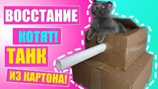 ТАНК ИЗ КАРТОНА ДЛЯ КОТЕНКА - ВОССТАНИЕ КОТЯТ