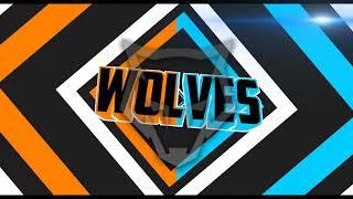 Intro Wolves