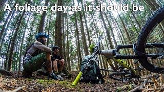 A Foliage day as it should be