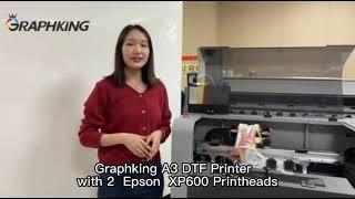 A3 Size DTF printer for sale in Africa | t-shirt printer machine factory sale #dtf #graphking