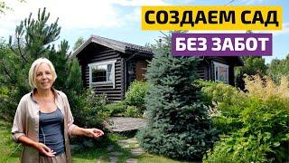 Всесезонный сад своими руками // FORUMHOUSE