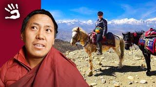 In the thick of Mustang: The Spectacular Migration of Nepalese Horses - Full documentary - AMP