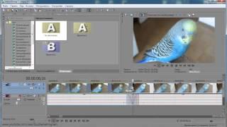 Как обрезать видео в програме Sony Vegas Pro 12. 0.  Izuchenie program.