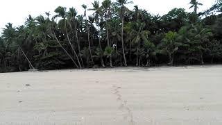 Playa tropical en el Archipelago de las Perlas, Panama / Tropical Beach in the Las Perlas Archipela