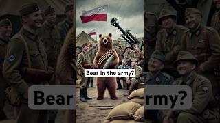 Wojtek the Bear: The Polish Army’s Unlikely Hero #history #facts #historyfacts