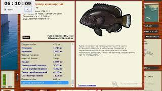 Русская Рыбалка 3.99 Красноморский промысел Группер