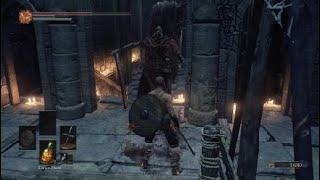 How to properly fight a dark souls enemy