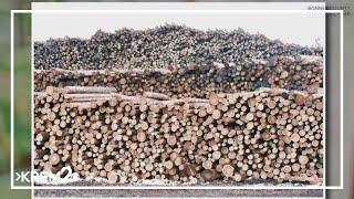 USDA cuts affecting North Idaho