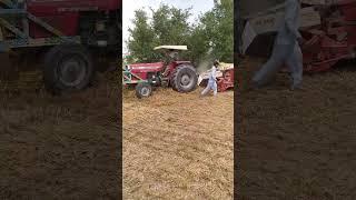 385 ki performance cheaper ma al Madina agro farm par