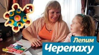 Лепим черепашку | Черепаха| Как слепить черепашку