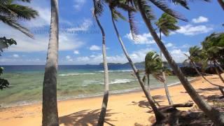 "Perfect Palms" Hidden Island in Fiji Endless Nature Video w/ Stereo Sounds 1080p