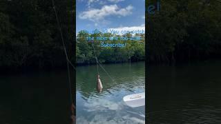 Hooked Up in Paradise – Sunday Kayak Fishing in the Keys! 