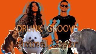 MARUV BOOSIN - Drunk Groove (animal cover)