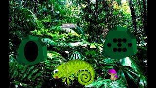 chameleon rain forest escape video walkthrough