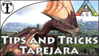 Fast Tapejara Taming Guide :: Ark : Survival Evolved Tips and Tricks