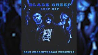 [FREE] Sample Pack / Loop Kit "BLACK SHEEP" (NoCap, Rod Wave, DeeBaby)