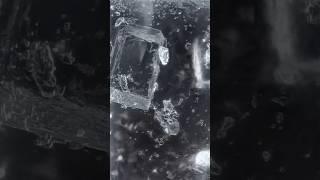 Sugar grain under a microscope:  #microscope #macrophotography #wigglestereoscopy