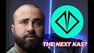 IS XELIS THE NEXT KAS? SUPER EARLY 100X POTENTIAL CRYPTO