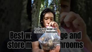 Best way to store morel mushrooms #foraging