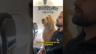 How I Fly With My Giant Dog! ️ #travelvlog #goldendoodle #traveldog