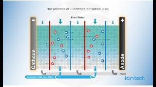 The process of Electro Deionisation EDI   Iontech   Animated