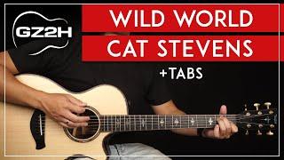 Wild World Guitar Tutorial Cat Stevens Yusef Guitar Lesson |Chords + TAB|