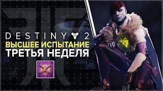 Destiny 2. Отвергнутые: Высшее испытание третьей недели. Контракт от Петры в Городе грез.