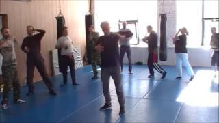 Systema S. Polunin