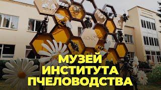 Музей института пчеловодства